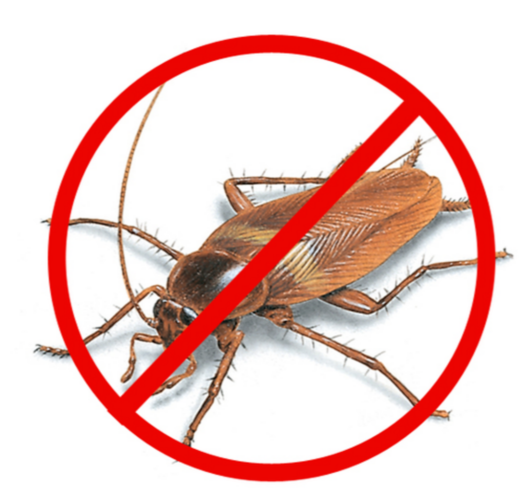 Cockroaches