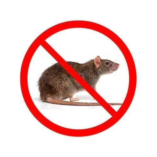 Mice